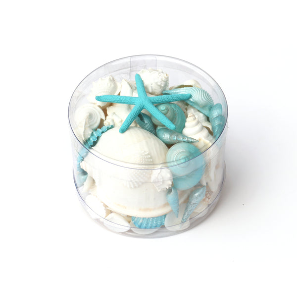 Premium Seashell Pack - Aqua Mist